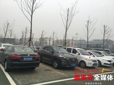 泰安春节期间生态停车场暖心服务获游客点赞